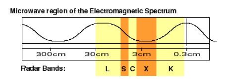 Life Detection System